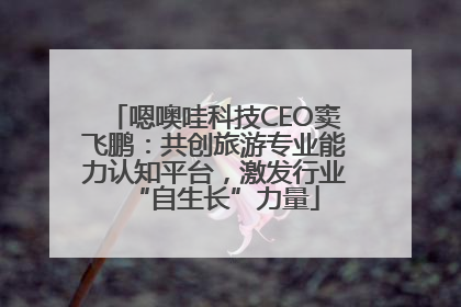 嗯噢哇科技CEO窦飞鹏：共创旅游专业能力认知平台，激发行业“自生长”力量