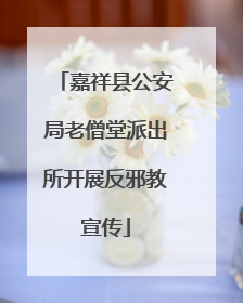 嘉祥县公安局老僧堂派出所开展反邪教宣传