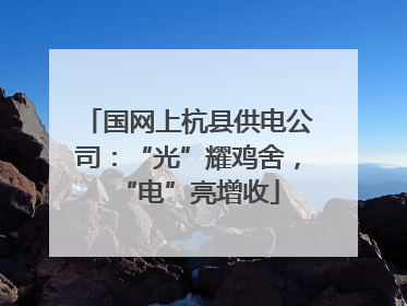 国网上杭县供电公司：“光”耀鸡舍，“电”亮增收