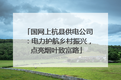 国网上杭县供电公司：电力护航乡村振兴，点亮烟叶致富路