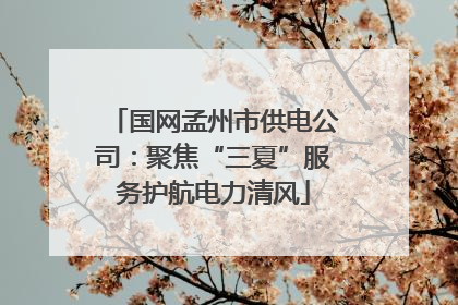 国网孟州市供电公司：聚焦“三夏”服务护航电力清风