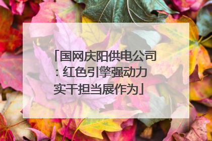 国网庆阳供电公司：红色引擎强动力 实干担当展作为