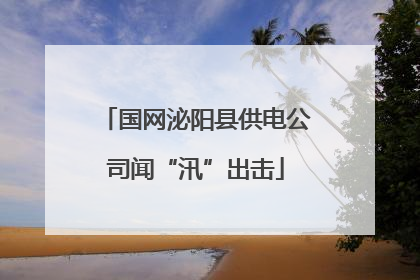 国网泌阳县供电公司闻“汛”出击