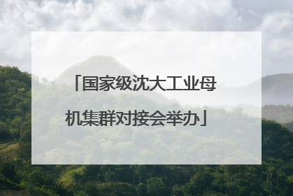 国家级沈大工业母机集群对接会举办