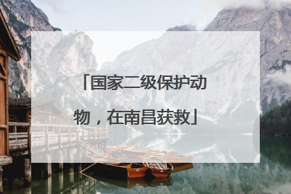 国家二级保护动物，在南昌获救