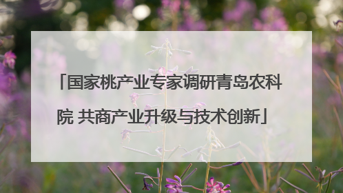 国家桃产业专家调研青岛农科院 共商产业升级与技术创新
