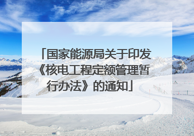 国家能源局关于印发《核电工程定额管理暂行办法》的通知