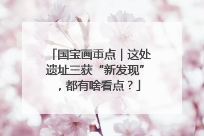国宝画重点｜这处遗址三获“新发现”，都有啥看点？