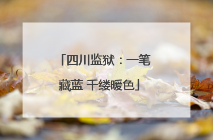 四川监狱：一笔藏蓝 千缕暖色