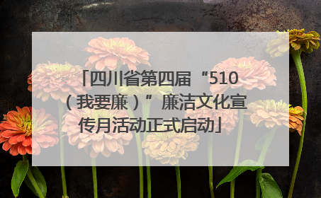 四川省第四届“510（我要廉）”廉洁文化宣传月活动正式启动