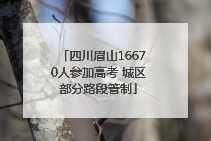 四川眉山16670人参加高考 城区部分路段管制