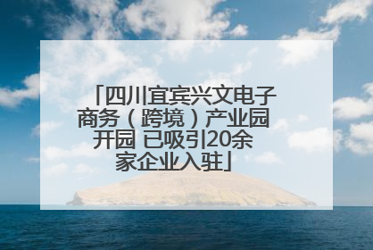 四川宜宾兴文电子商务（跨境）产业园开园 已吸引20余家企业入驻