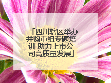 四川辖区举办并购重组专题培训 助力上市公司高质量发展