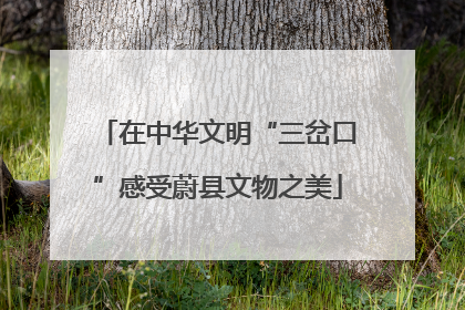 在中华文明“三岔口”感受蔚县文物之美