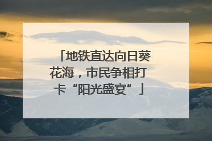 地铁直达向日葵花海，市民争相打卡“阳光盛宴”