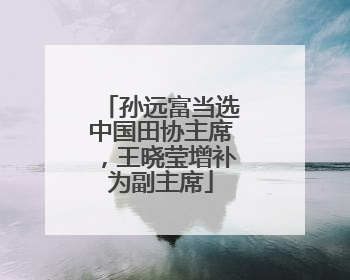 孙远富当选中国田协主席，王晓莹增补为副主席