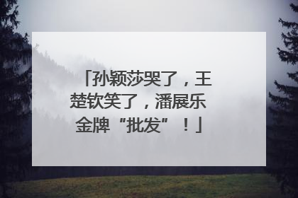 孙颖莎哭了，王楚钦笑了，潘展乐金牌“批发”！