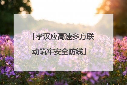 孝汉应高速多方联动筑牢安全防线