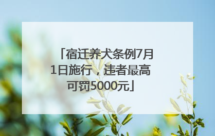 宿迁养犬条例7月1日施行，违者最高可罚5000元