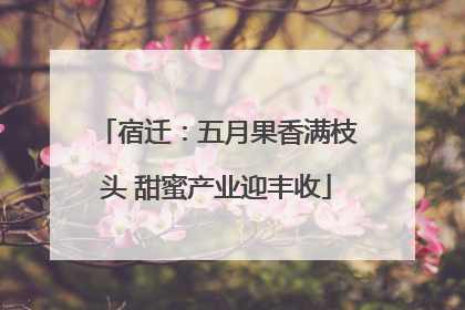 宿迁：五月果香满枝头 甜蜜产业迎丰收