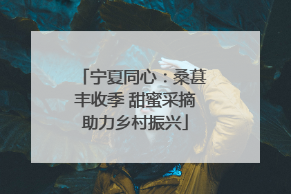 宁夏同心：桑葚丰收季 甜蜜采摘助力乡村振兴
