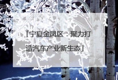 宁夏金凤区：聚力打造汽车产业新生态