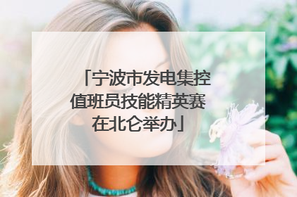 宁波市发电集控值班员技能精英赛在北仑举办