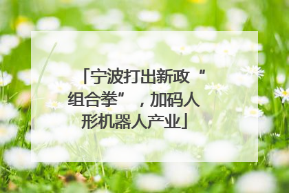 宁波打出新政“组合拳”，加码人形机器人产业