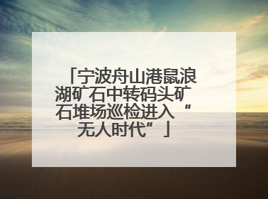 宁波舟山港鼠浪湖矿石中转码头矿石堆场巡检进入“无人时代”