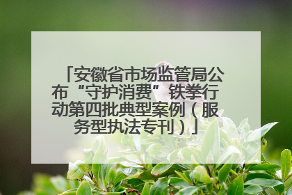安徽省市场监管局公布“守护消费”铁拳行动第四批典型案例（服务型执法专刊）