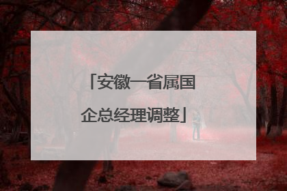 安徽一省属国企总经理调整