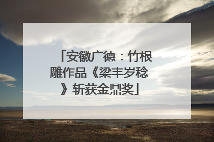 安徽广德：竹根雕作品《梁丰岁稔》斩获金鼎奖