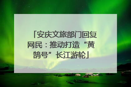 安庆文旅部门回复网民：推动打造“黄鹄号”长江游轮