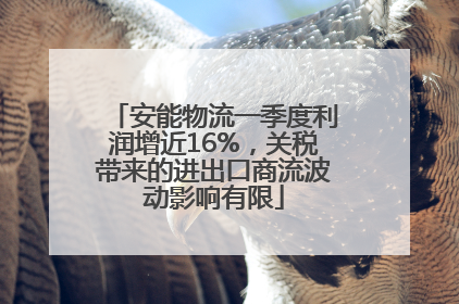安能物流一季度利润增近16%，关税带来的进出口商流波动影响有限