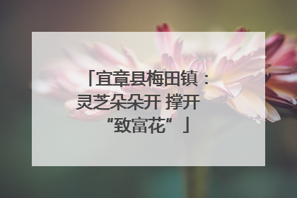 宜章县梅田镇：灵芝朵朵开 撑开“致富花”