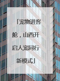 宠物进客舱，山西开启人宠同行新模式