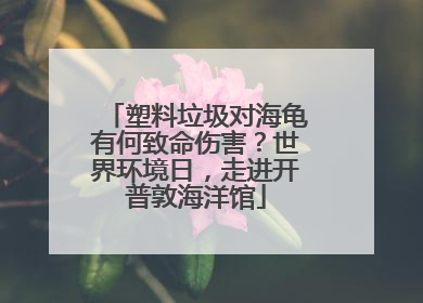 塑料垃圾对海龟有何致命伤害？世界环境日，走进开普敦海洋馆