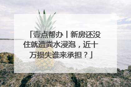 壹点帮办丨新房还没住就遭粪水浸泡，近十万损失谁来承担？