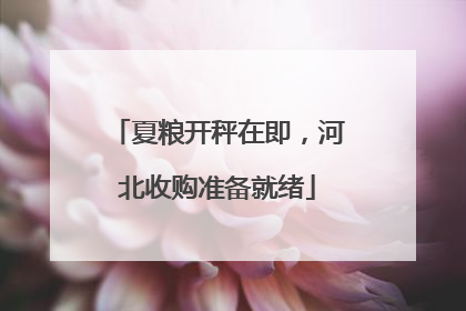 夏粮开秤在即，河北收购准备就绪