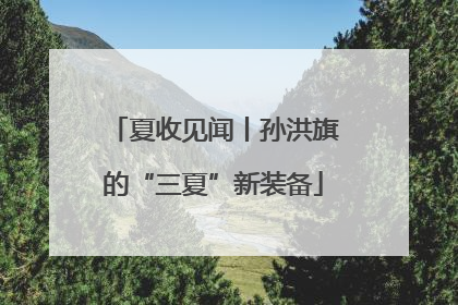 夏收见闻丨孙洪旗的“三夏”新装备