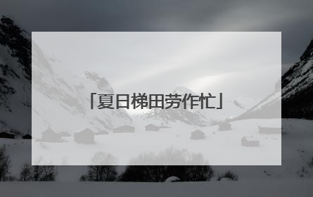 夏日梯田劳作忙