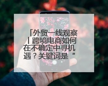 外贸一线观察丨跨境电商如何在不确定中寻机遇？关键词是“新”