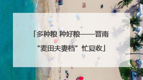 多种粮 种好粮——晋南“麦田夫妻档”忙夏收