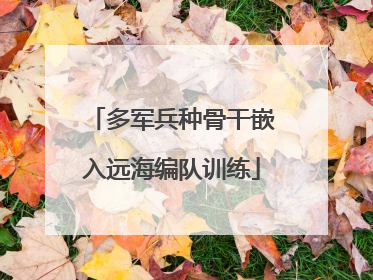 多军兵种骨干嵌入远海编队训练