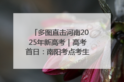 多图直击河南2025年新高考｜高考首日：南阳考点考生信心满满迎战