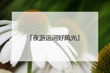 夜游运河好风光