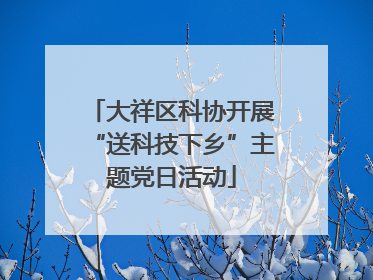 大祥区科协开展“送科技下乡”主题党日活动