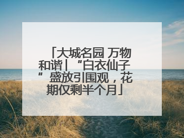 大城名园 万物和谐│“白衣仙子”盛放引围观，花期仅剩半个月