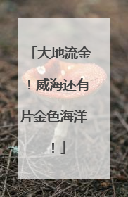 大地流金！威海还有片金色海洋！