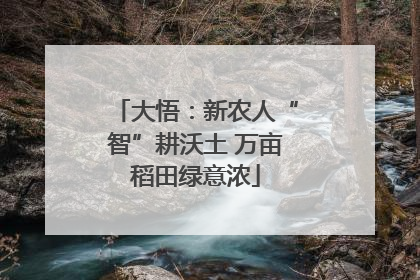 大悟：新农人“智”耕沃土 万亩稻田绿意浓